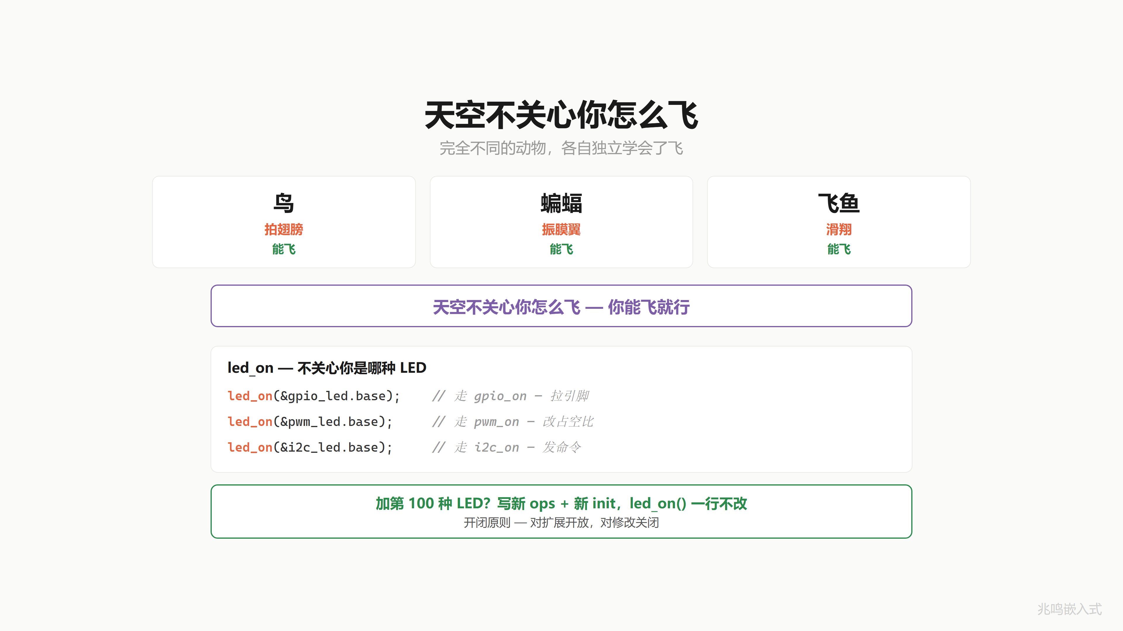 鸟蝙蝠飞鱼
